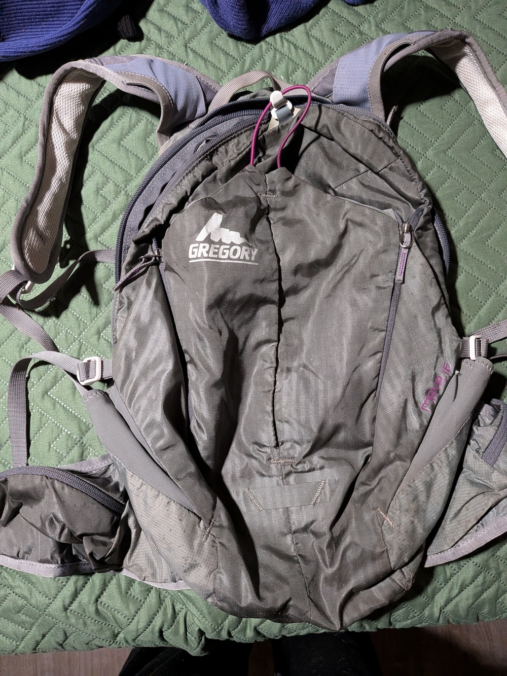 Gregory Women's Gray Backpack with Purple Accents